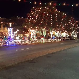 Meet your Posher, Sandy